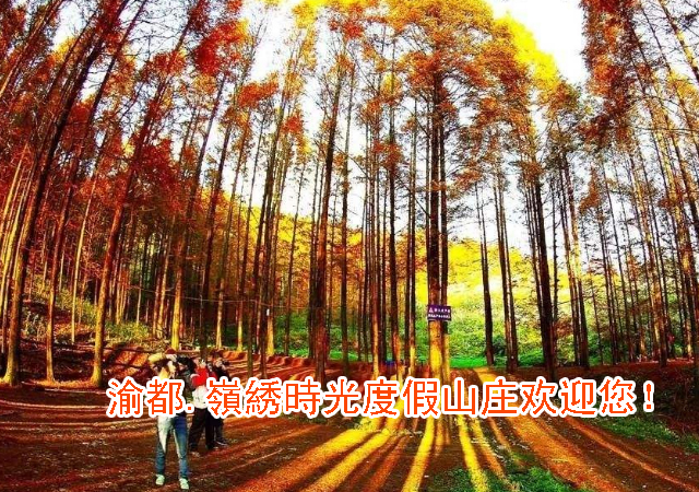 手机幻灯片3